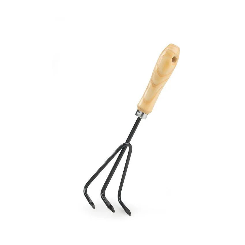 תמונה ממוזערת 1