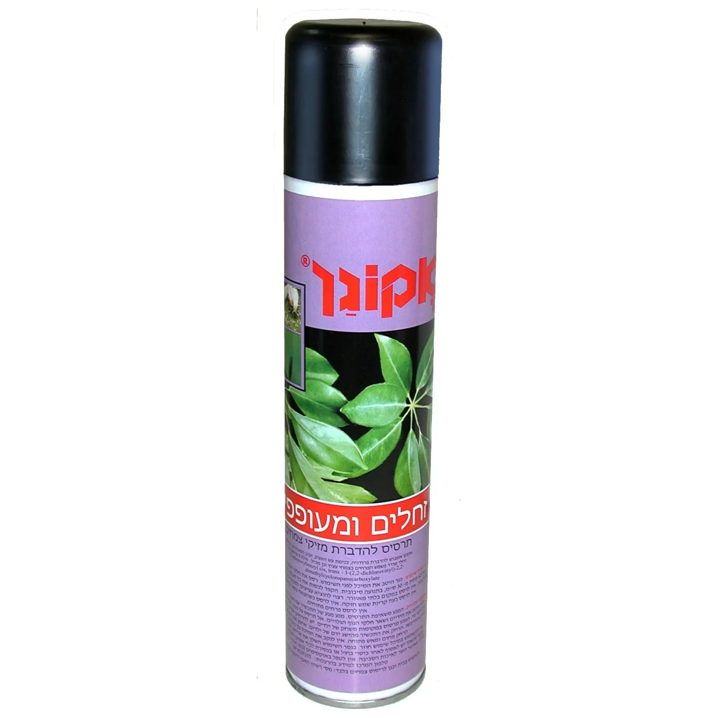 תמונה ממוזערת 1