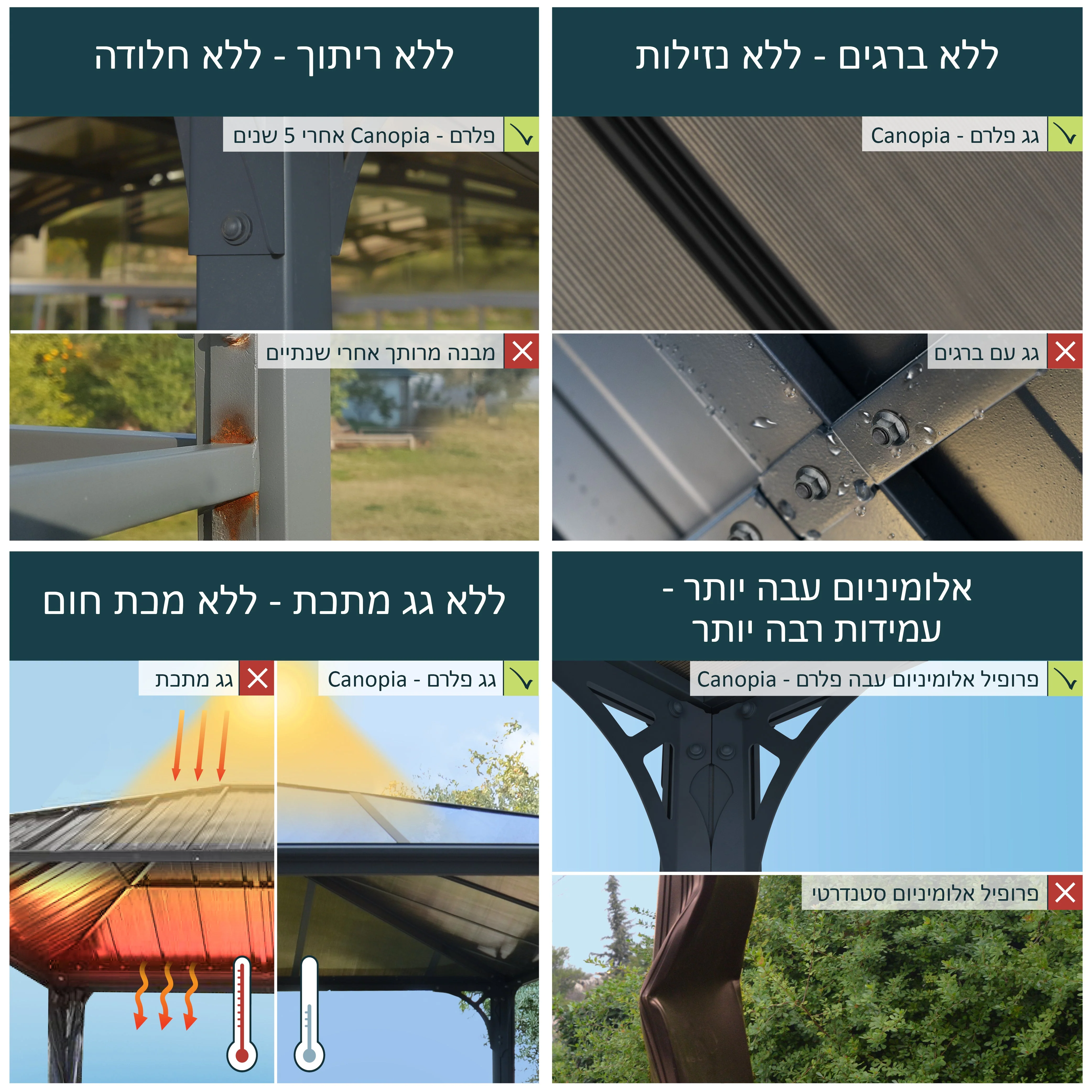 תמונת מוצר 4