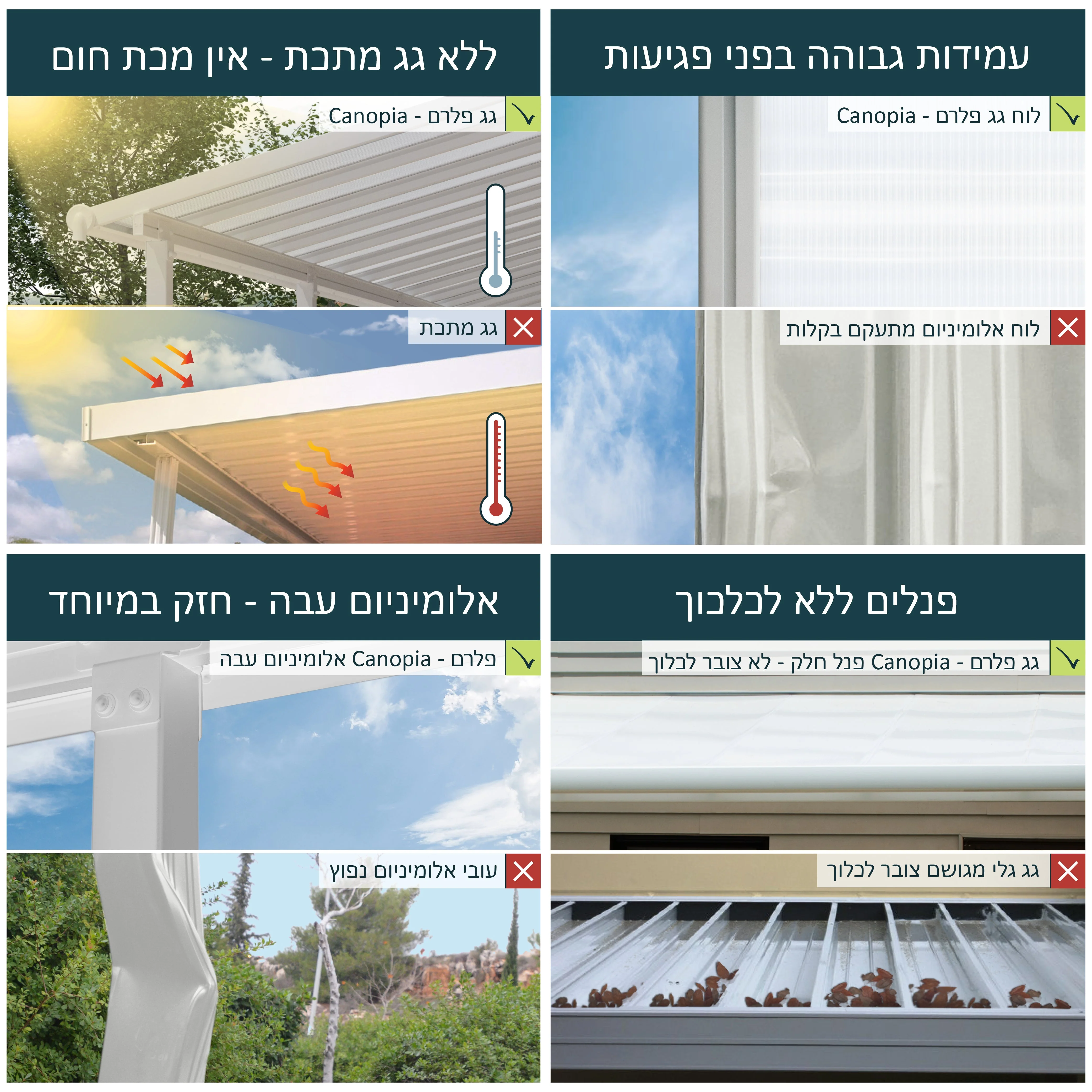 תמונת מוצר 4
