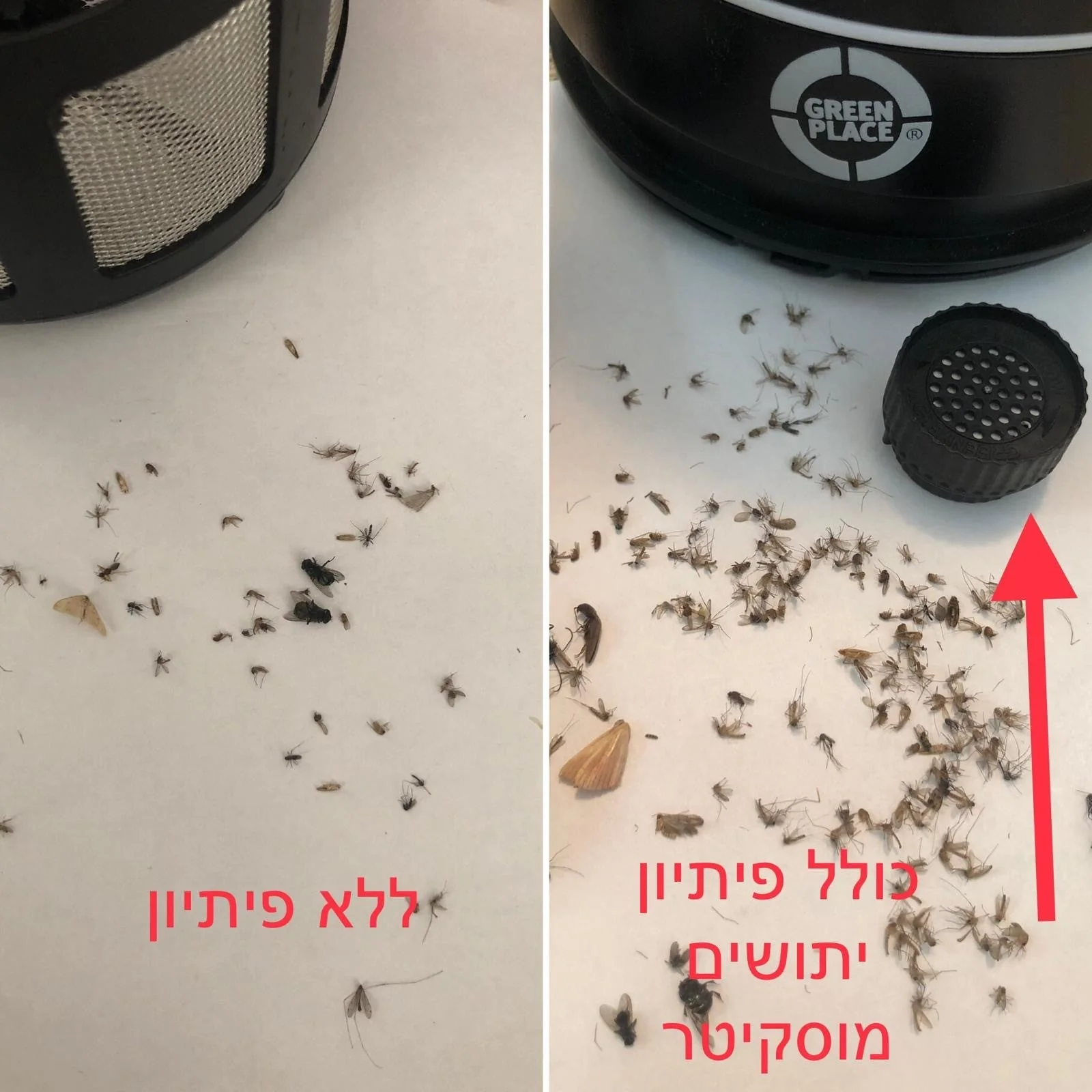 תמונת מוצר 4
