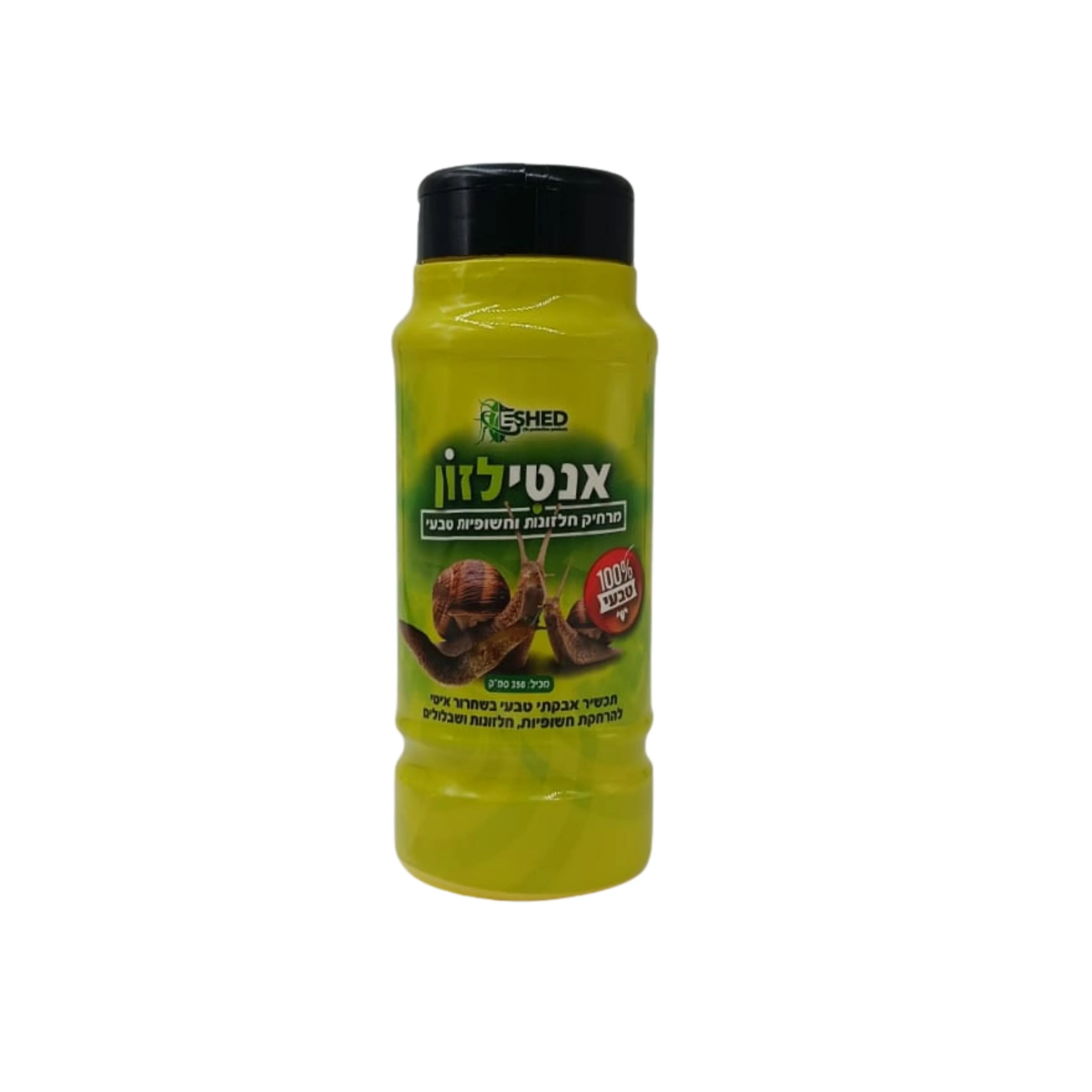 תמונה ממוזערת 1