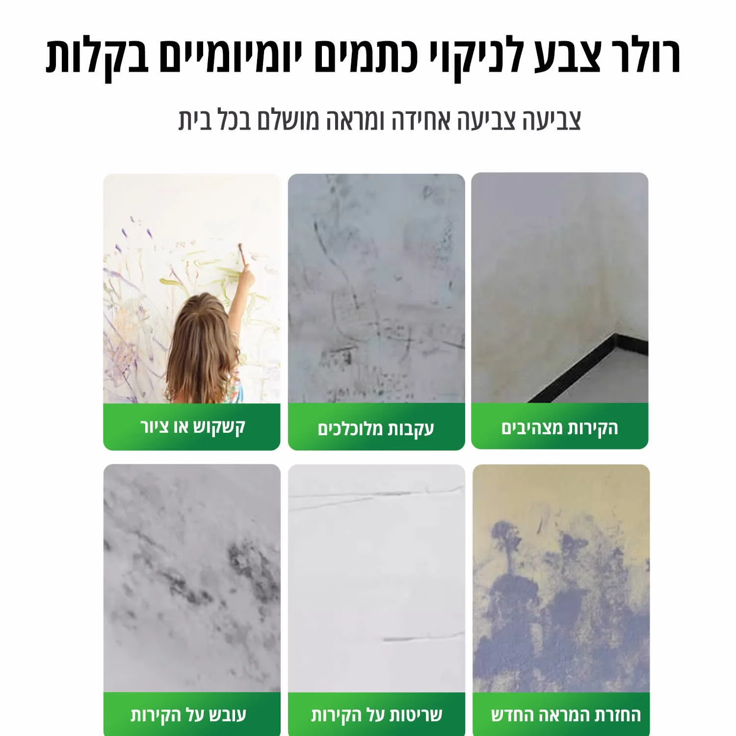 תמונת מוצר 4