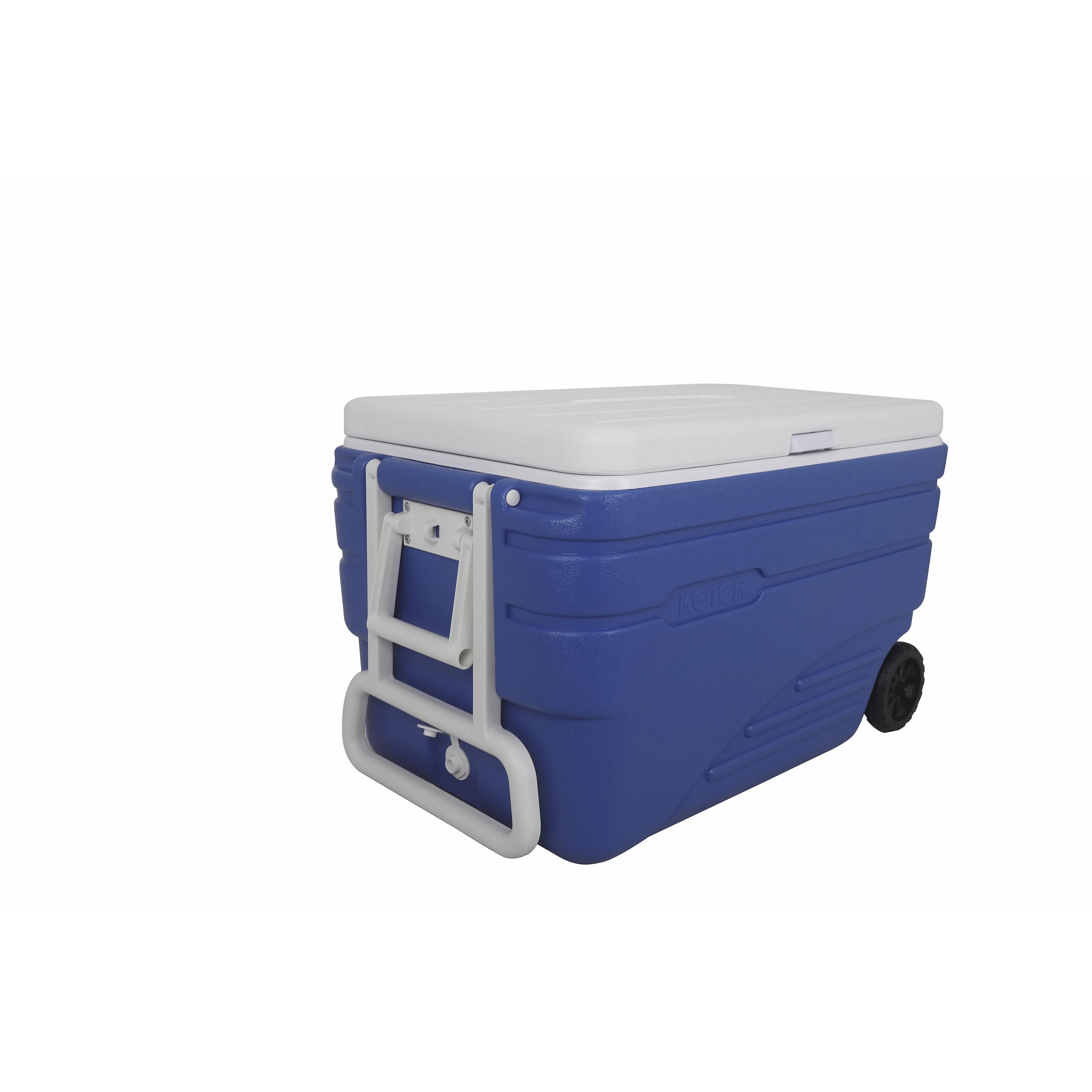 תמונה ממוזערת 2