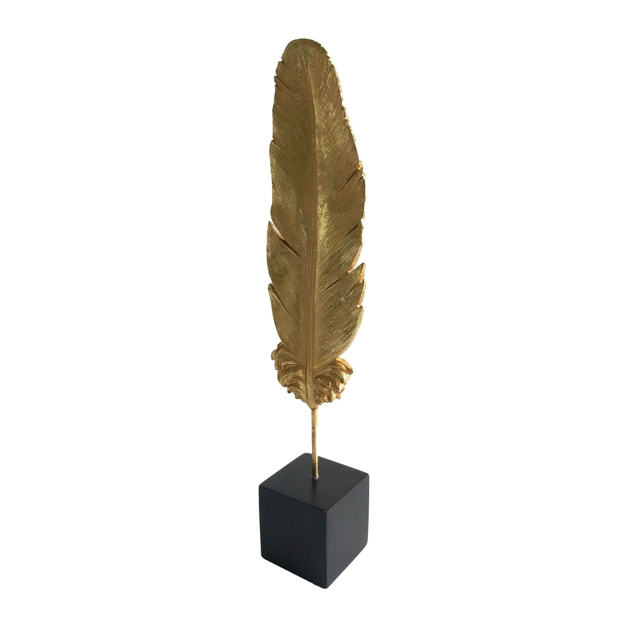 תמונה ממוזערת 1