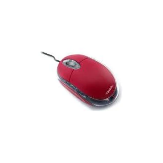תמונה ממוזערת 1
